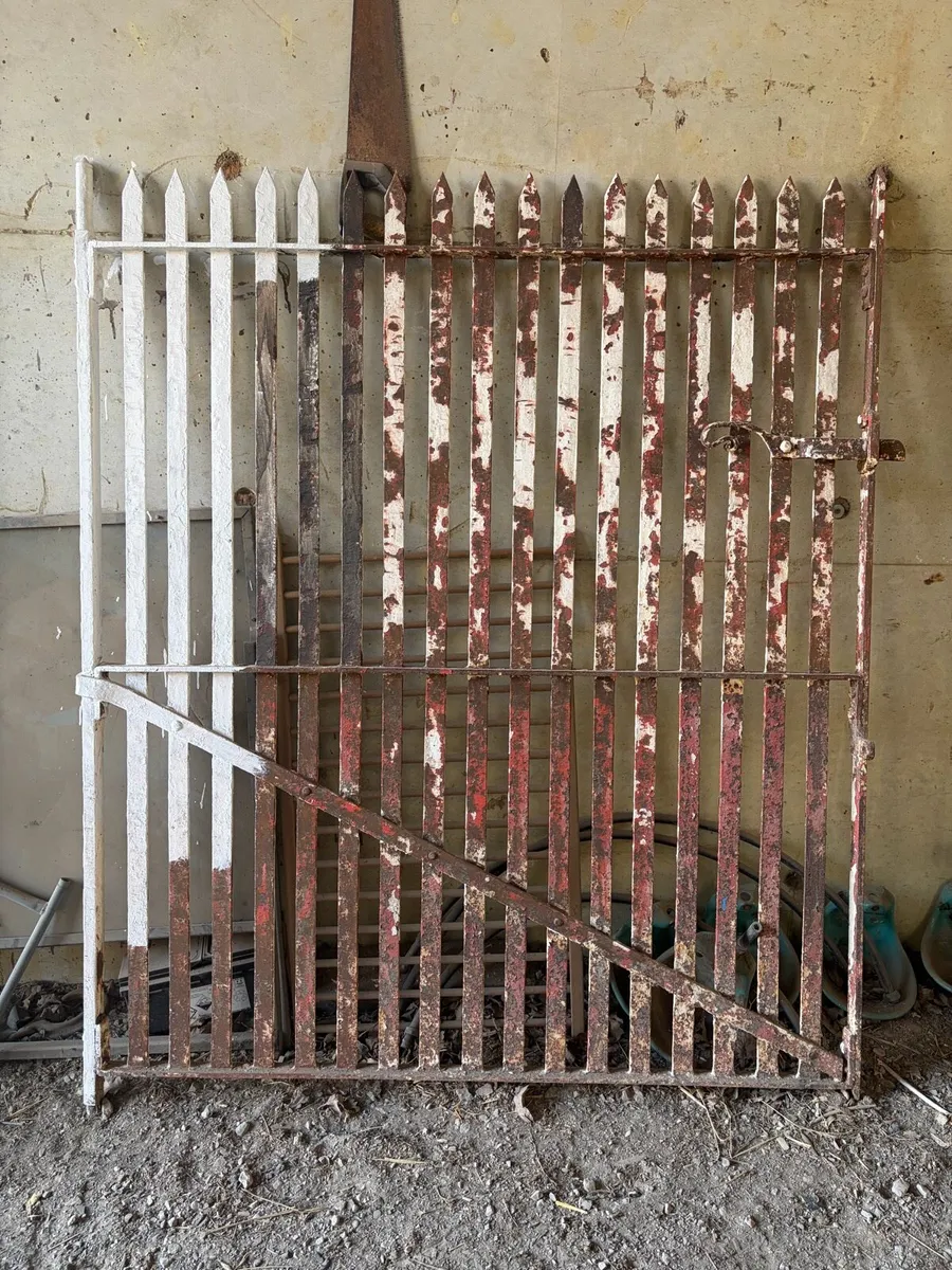 Antique gates. - Image 4