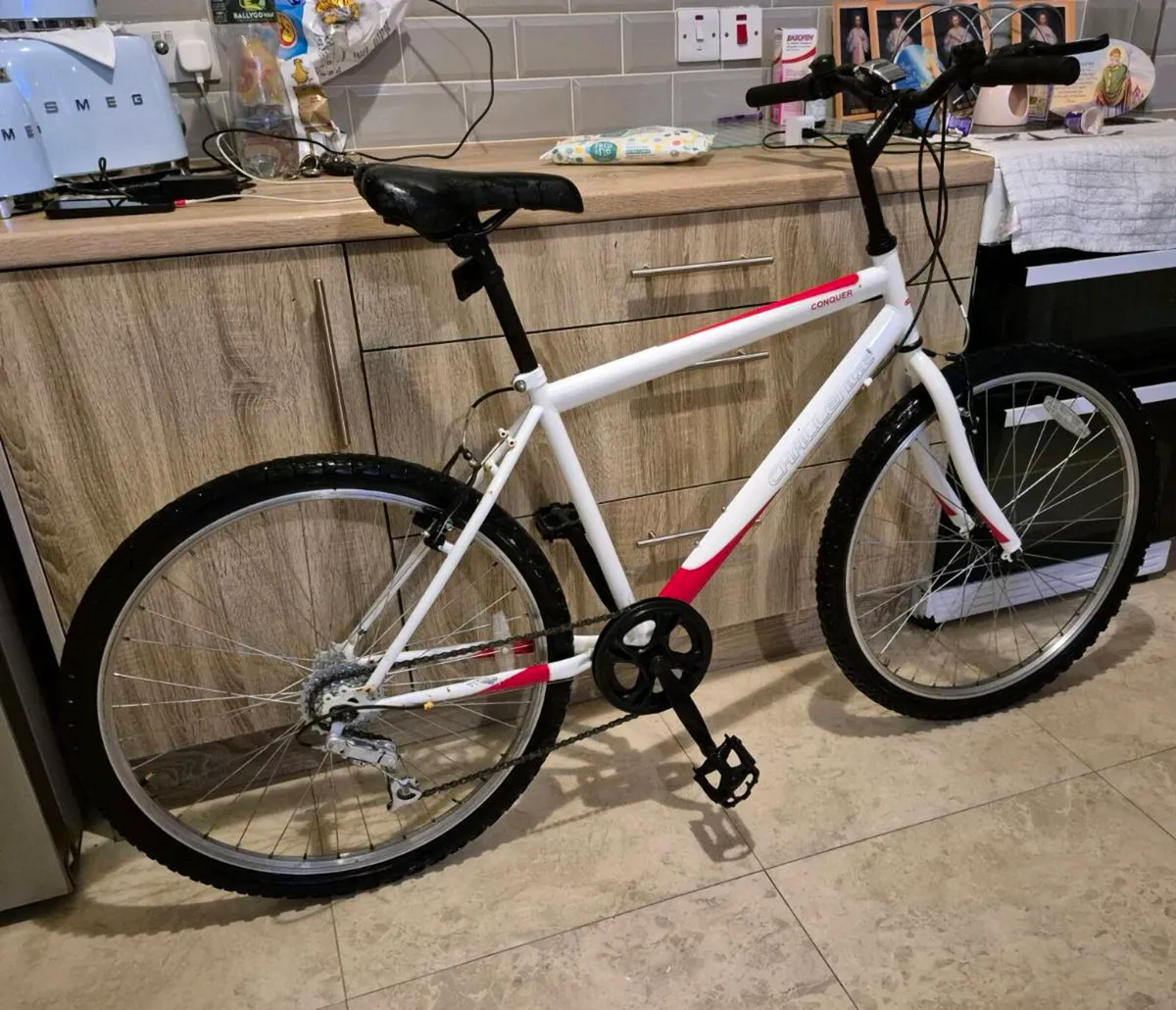 ADULTS CHALLENGE MOUNTAIN BIKE 21 SPEED SHIMANO EA - Image 2