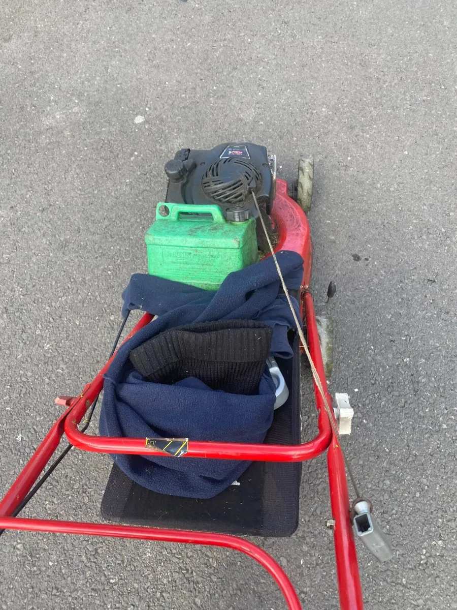 Anyone wants there grass cut in Longford inbox me - Image 2