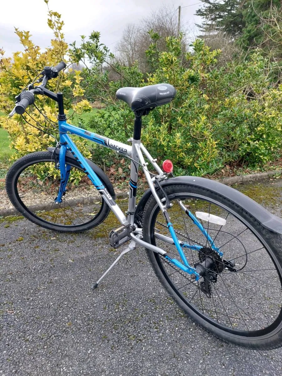 Boys Bicycle - Image 2