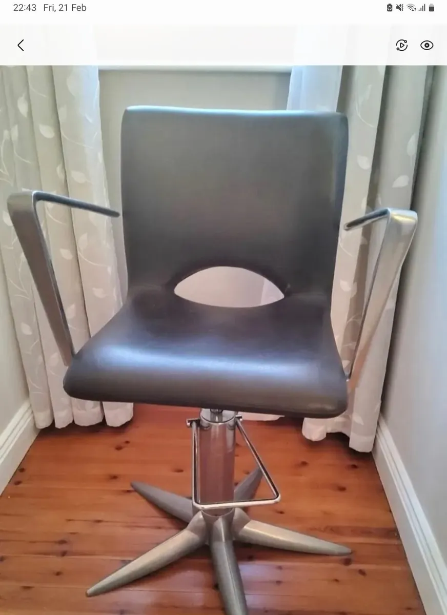 Salon Chair