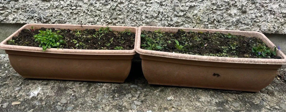 Two hard plastic pots with soil - Image 3
