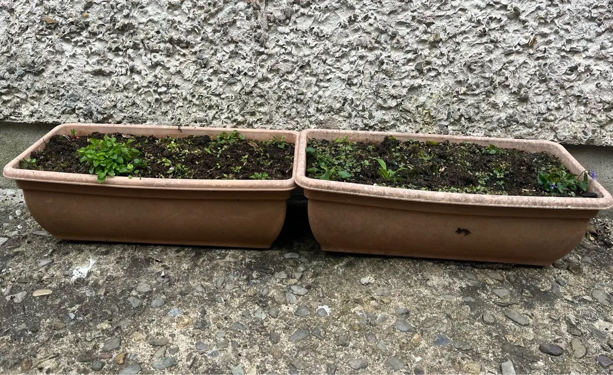 Two hard plastic pots with soil - Image 4