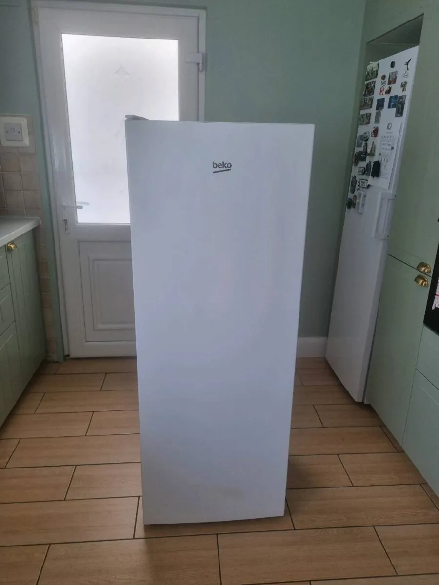 Tall fridge - Image 1