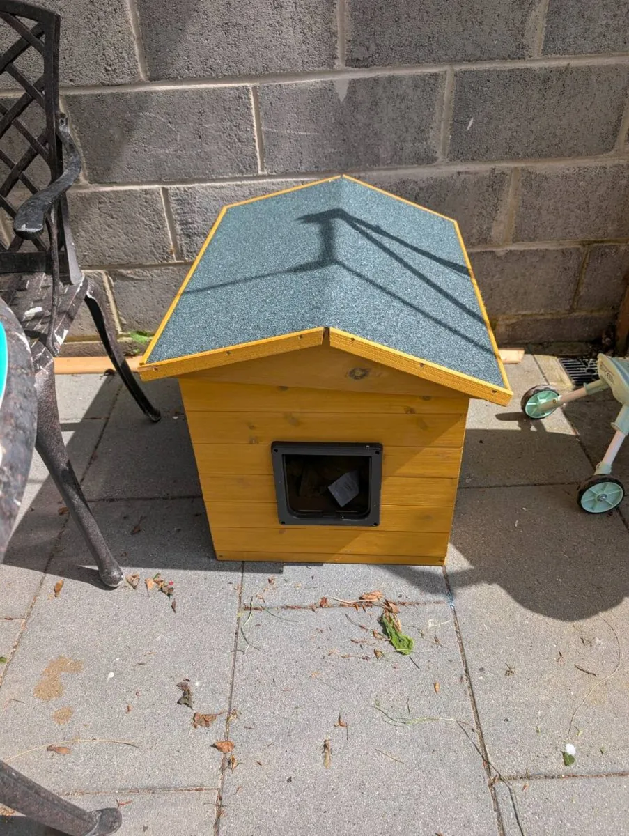 Cat dog outdoor house - Image 1