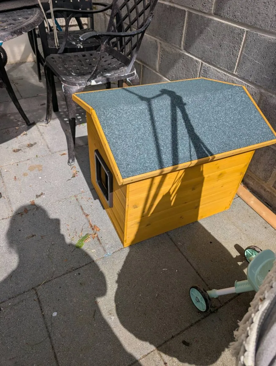 Cat dog outdoor house - Image 2