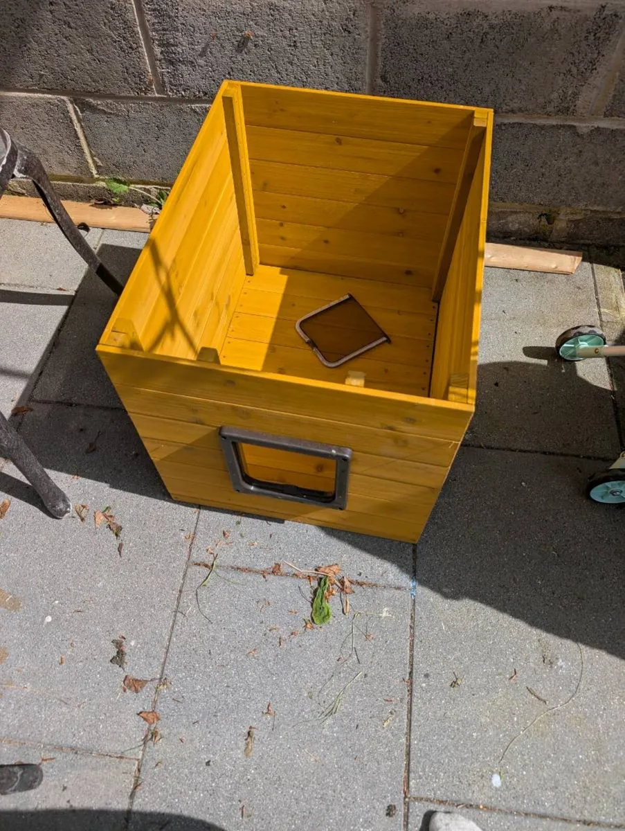 Cat dog outdoor house - Image 3