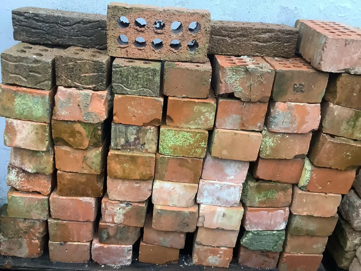 Red Bricks - Image 1