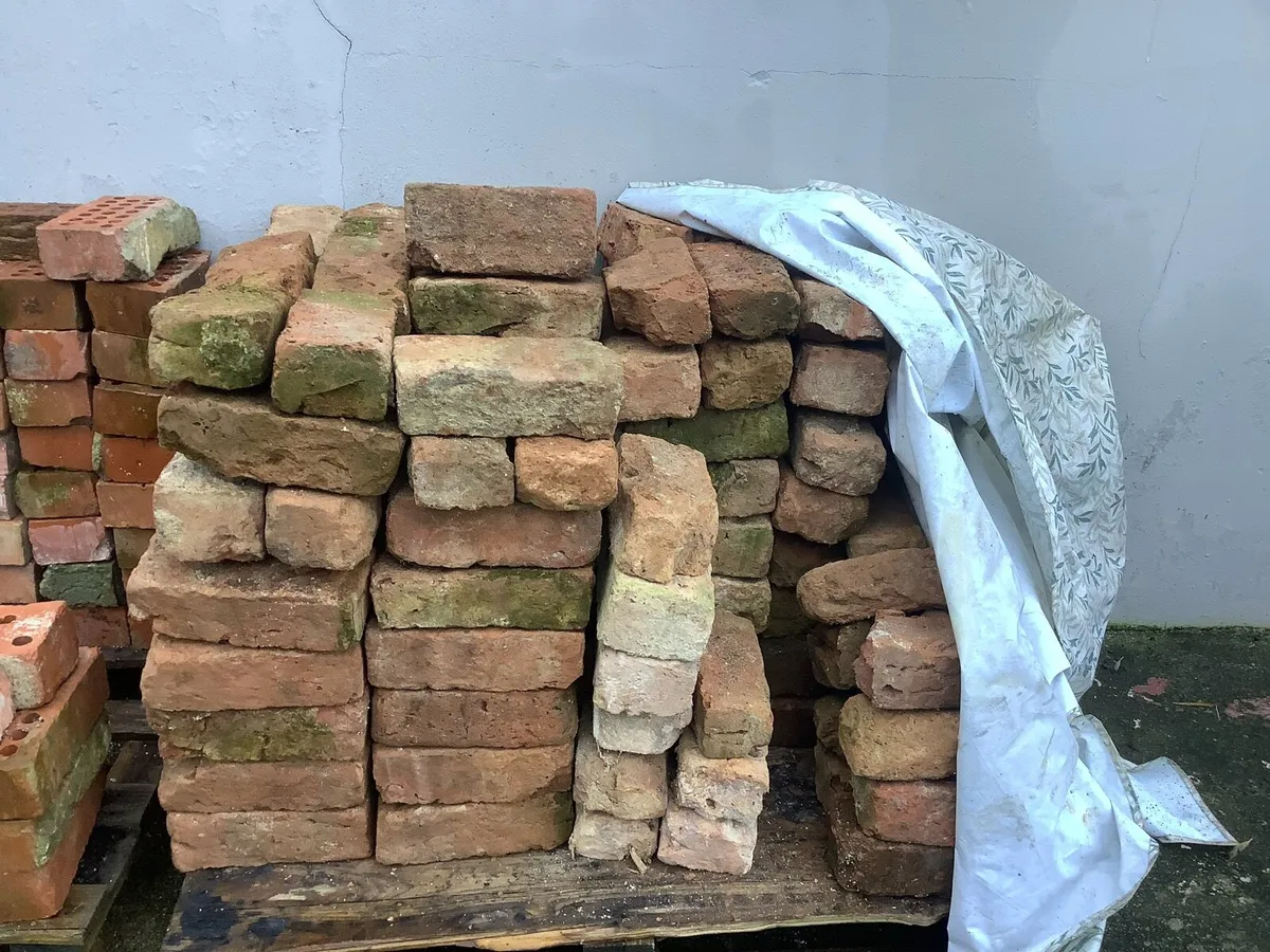 Red Bricks - Image 2