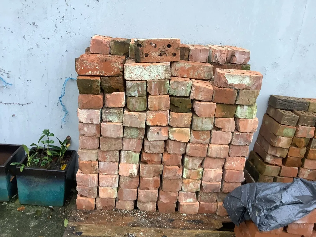 Red Bricks - Image 3