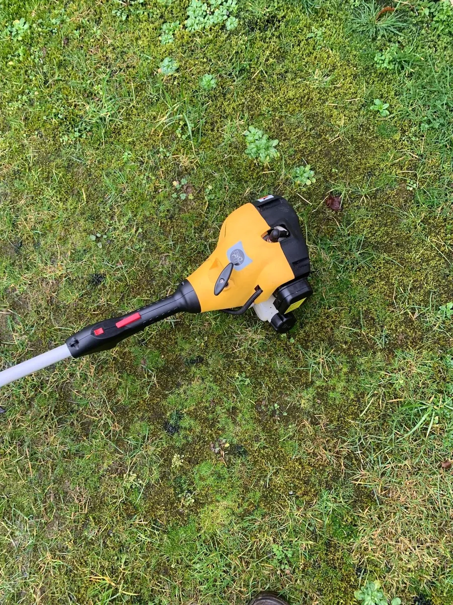 Strimmer - Image 2
