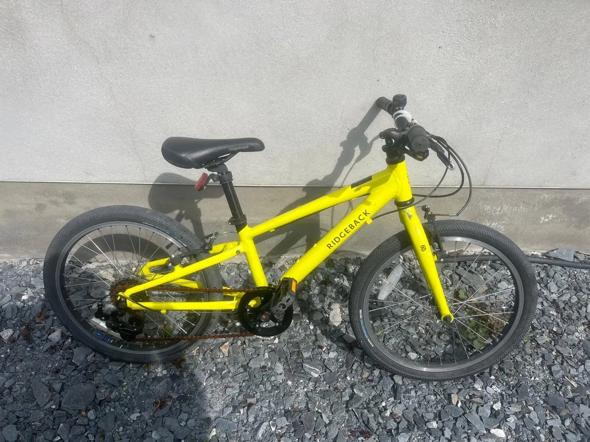 Ridgeback Dimension 20 Kids Bike - Image 1
