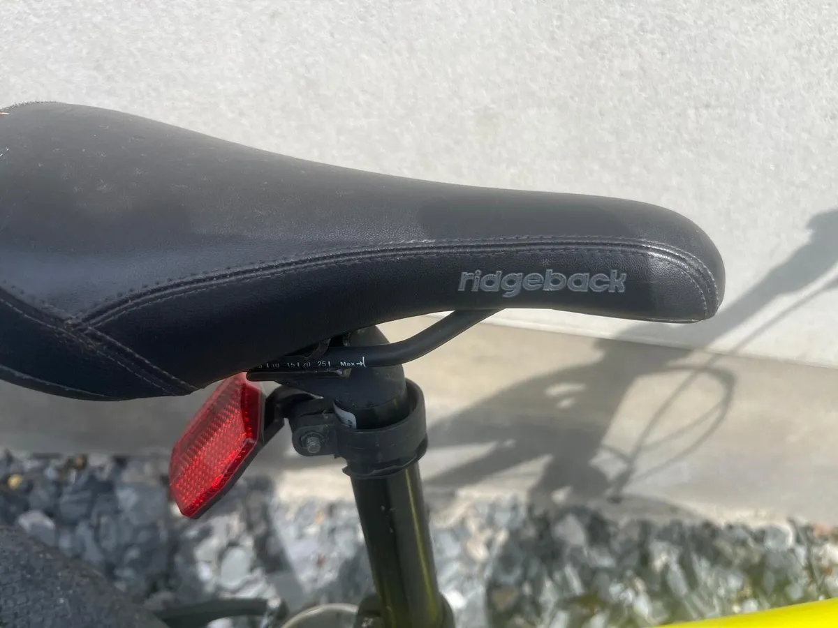 Ridgeback Dimension 20 Kids Bike - Image 2