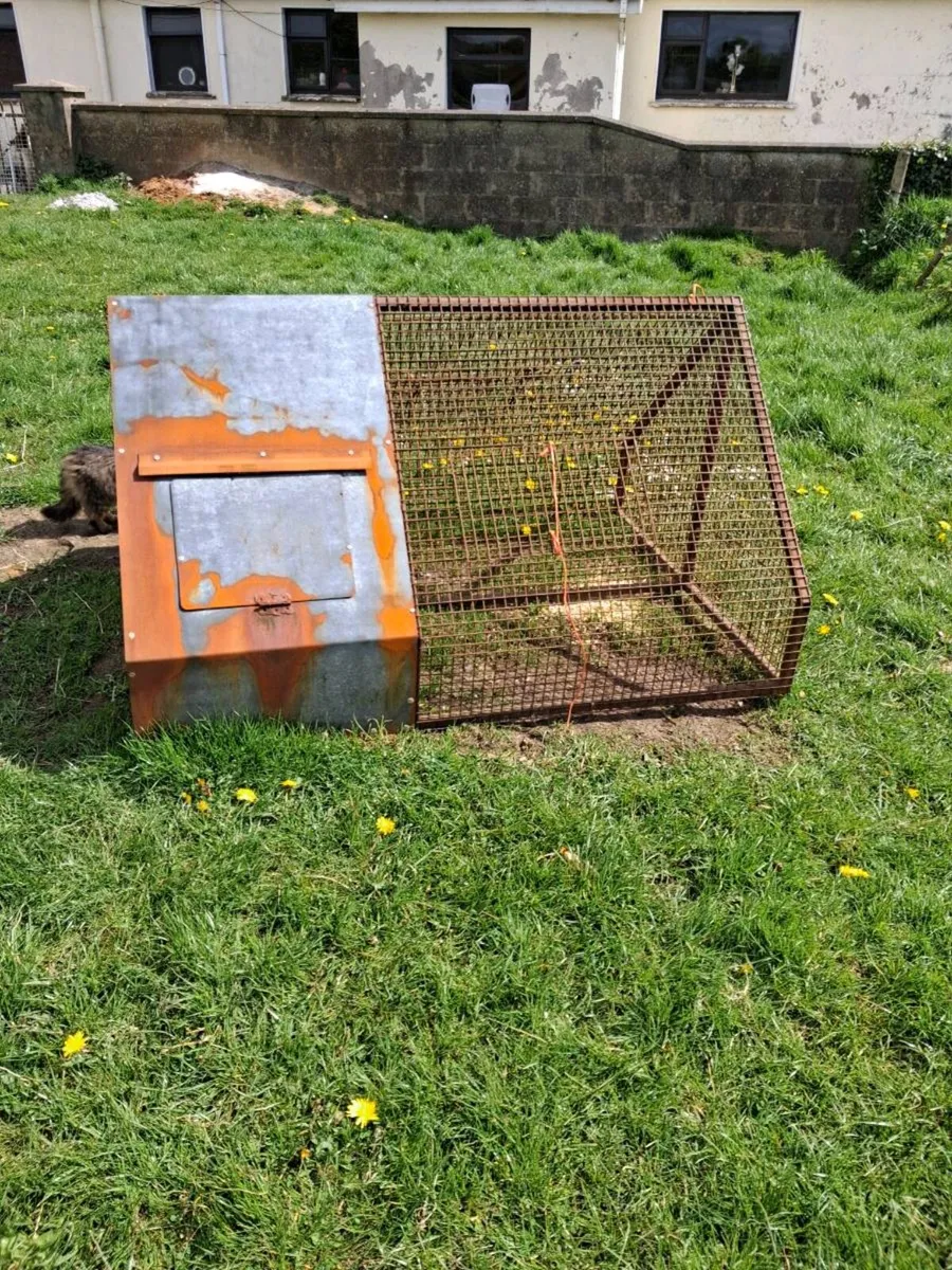 2 chicken coops - Image 2