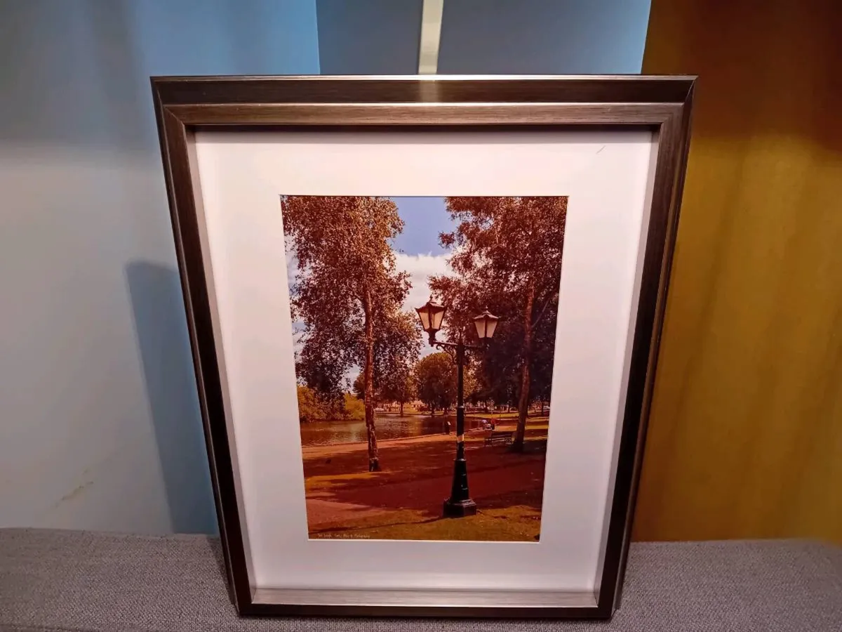 The Lough, Cork - Image 2