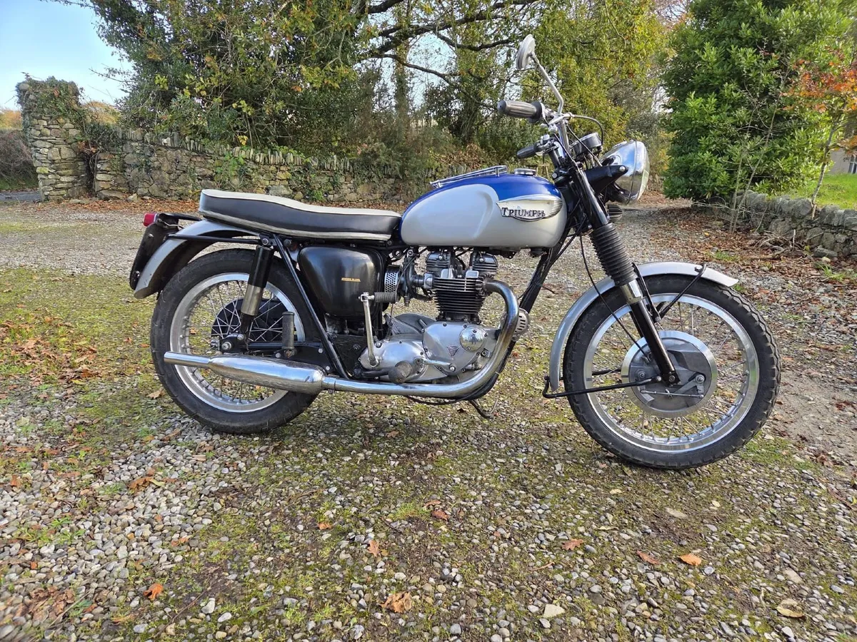 Triumph Thunderbird 1966 - Image 1