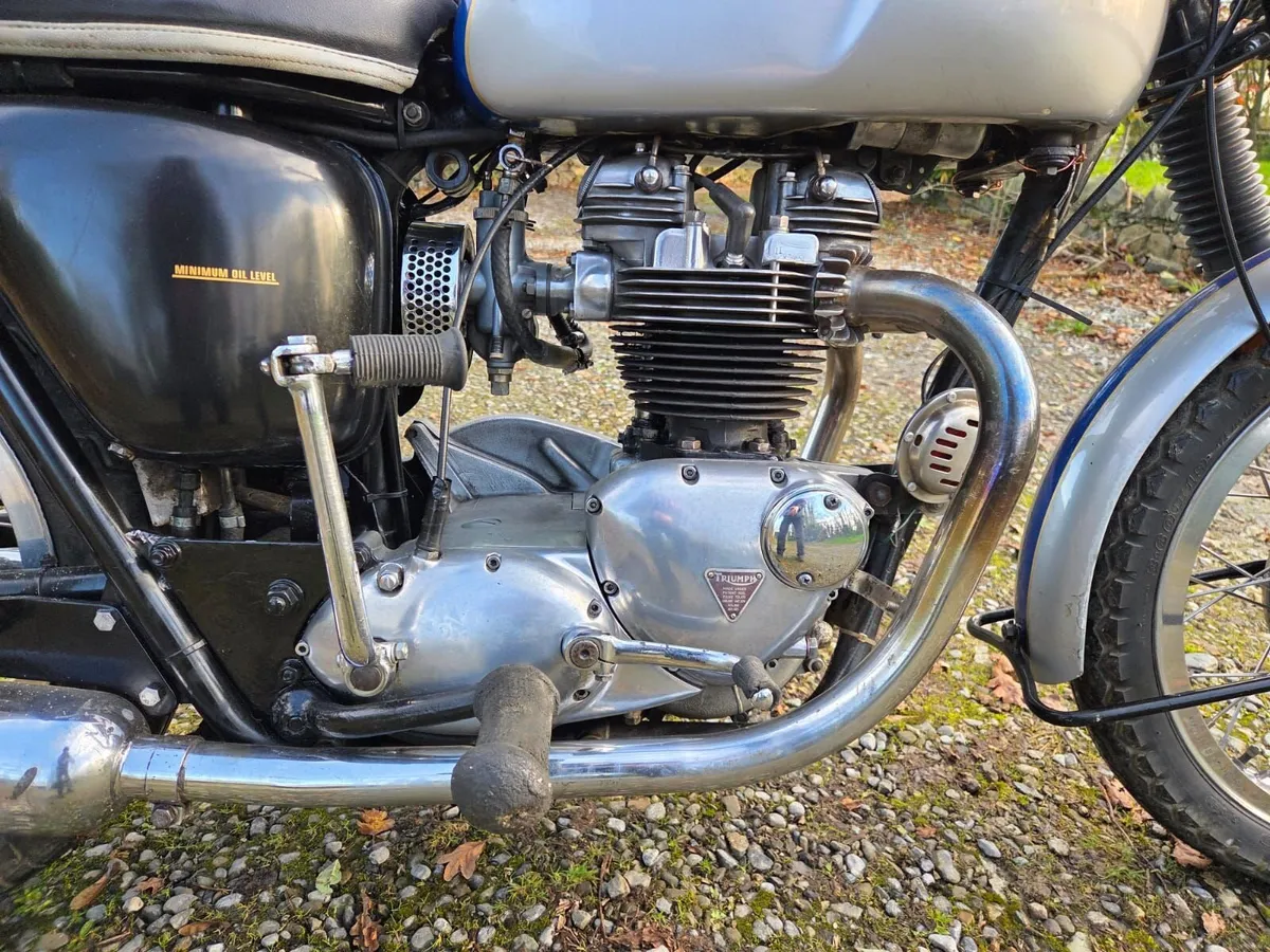 Triumph Thunderbird 1966 - Image 2