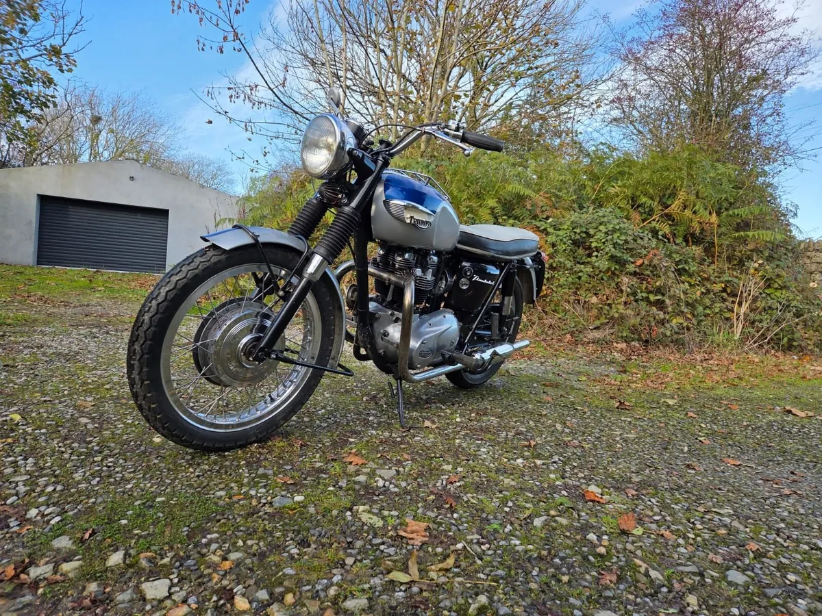 Triumph Thunderbird 1966 - Image 4