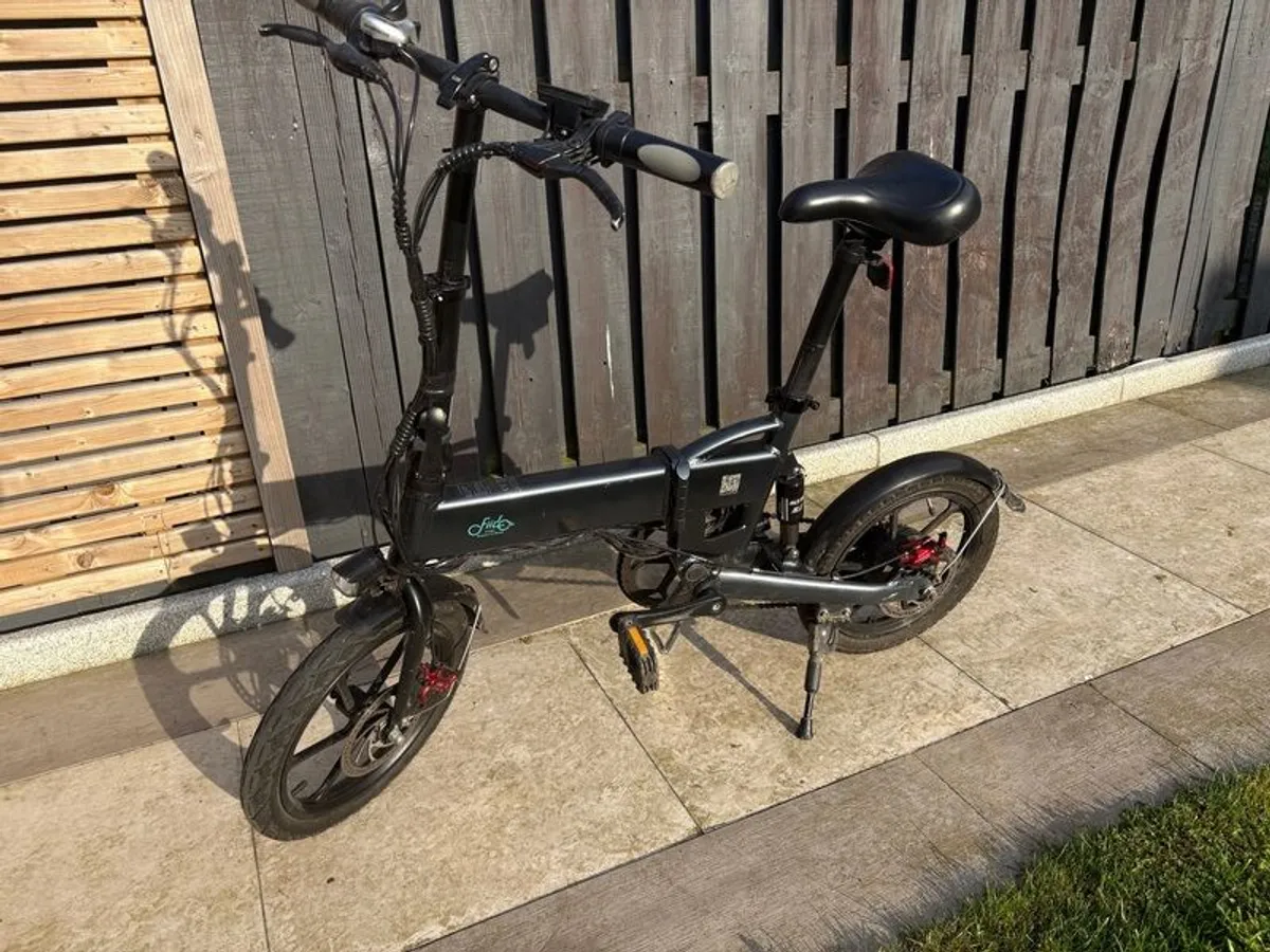 Fiido D2 Electric Bike - Image 1