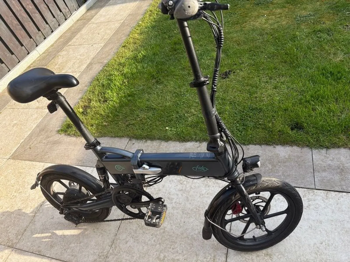 Fiido D2 Electric Bike - Image 2