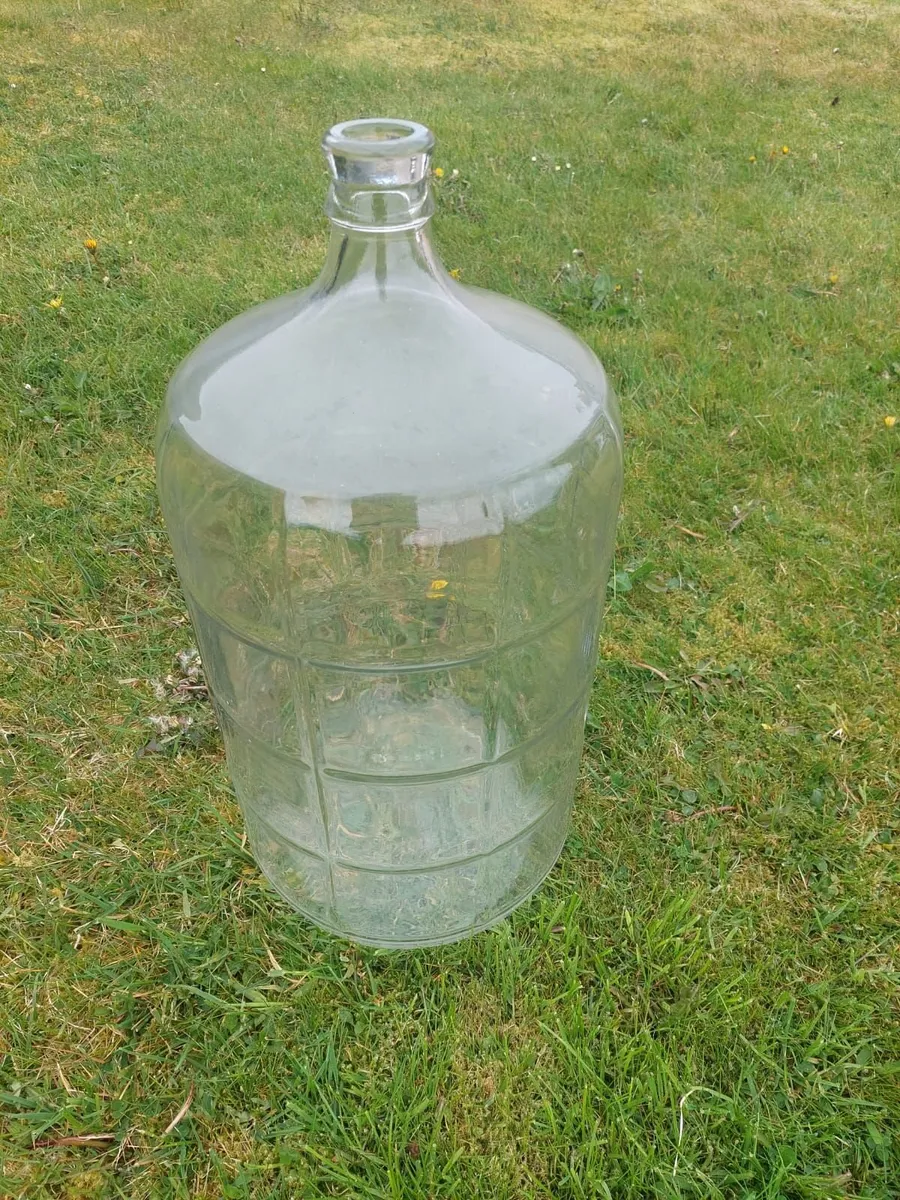 3 x Wine demijohn 25 liters - Image 1