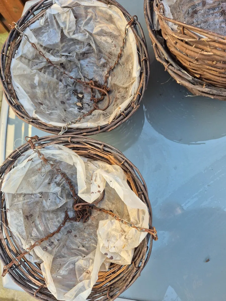 Flower pots - Image 3