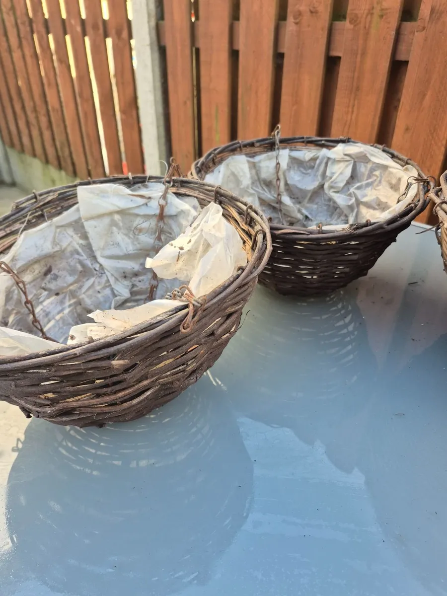 Flower pots - Image 1