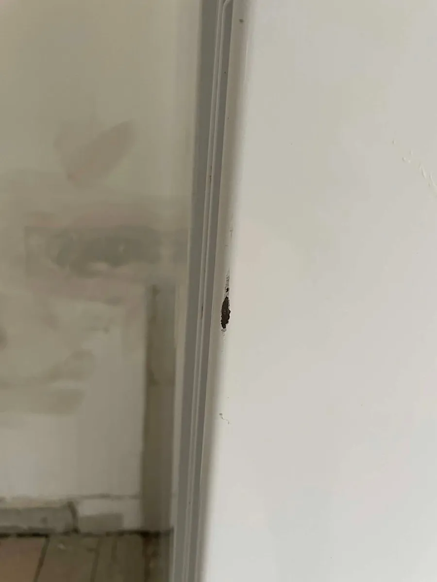 Bosch Freestanding Fridge Freezer For Sale - Image 4