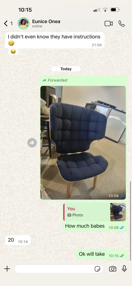 The Mammoth Chair - Image 4