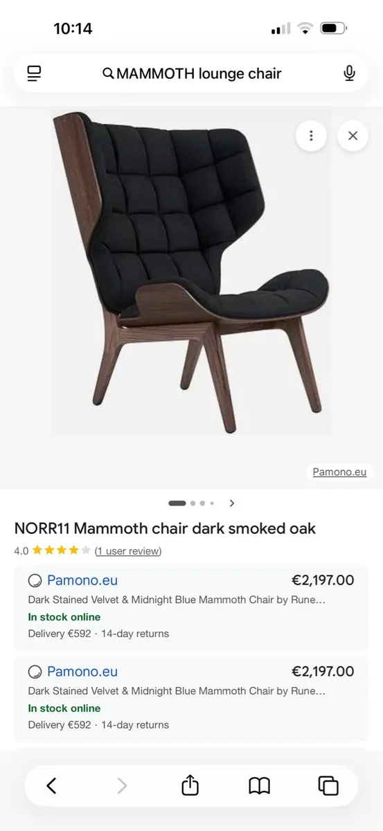 The Mammoth Chair - Image 2