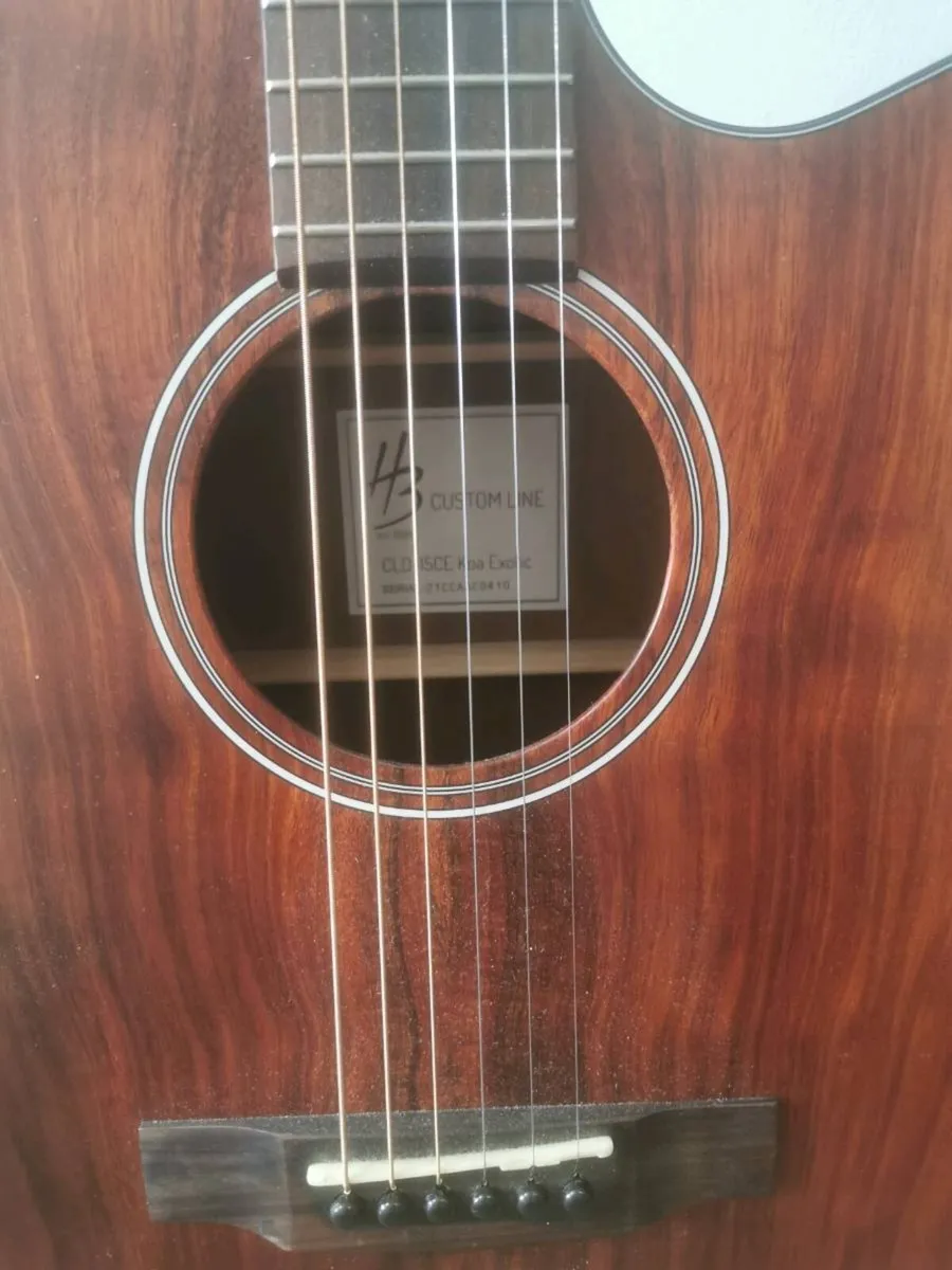 HB Custom Lone Acoustic Guitar EV - Image 2