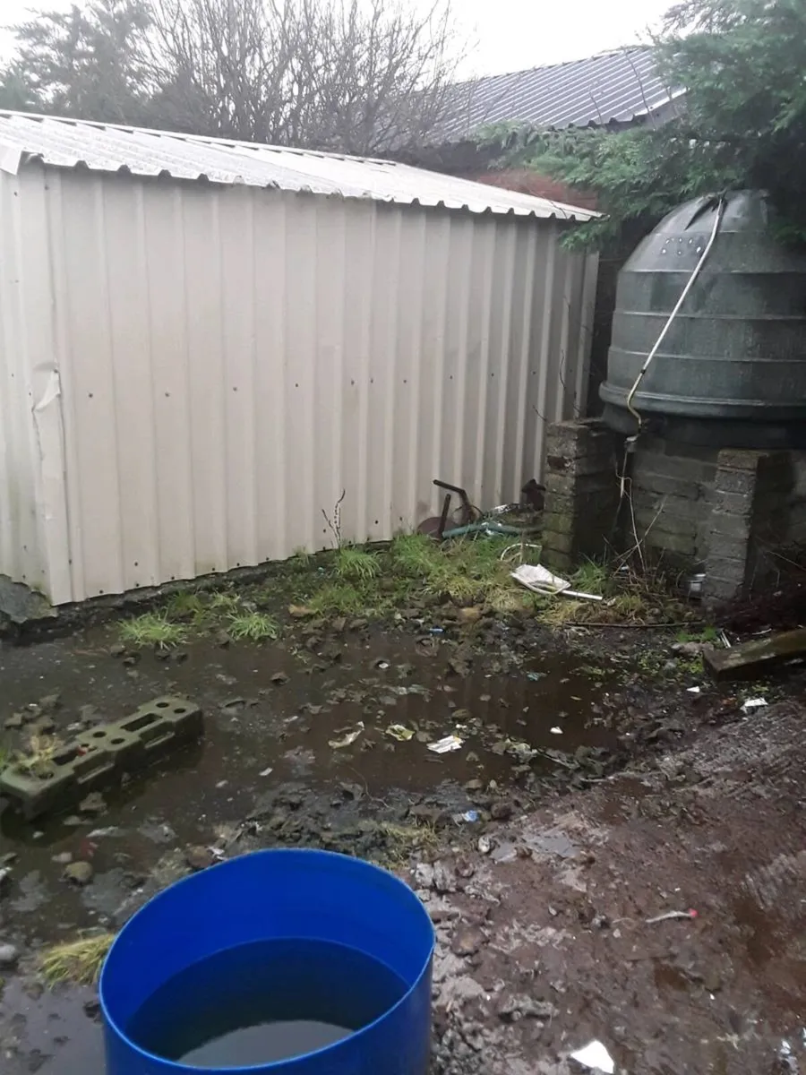 Horse stables  x2 bargain 800euro - Image 3