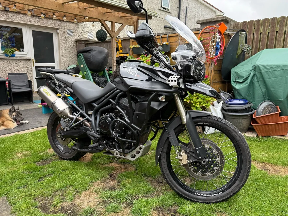 Triumph Tiger XC 800 - Image 3