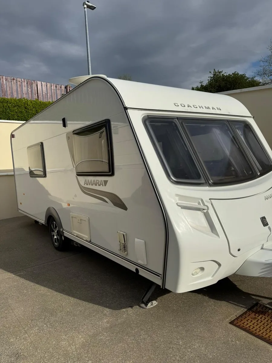 Coachman Amara - Image 2