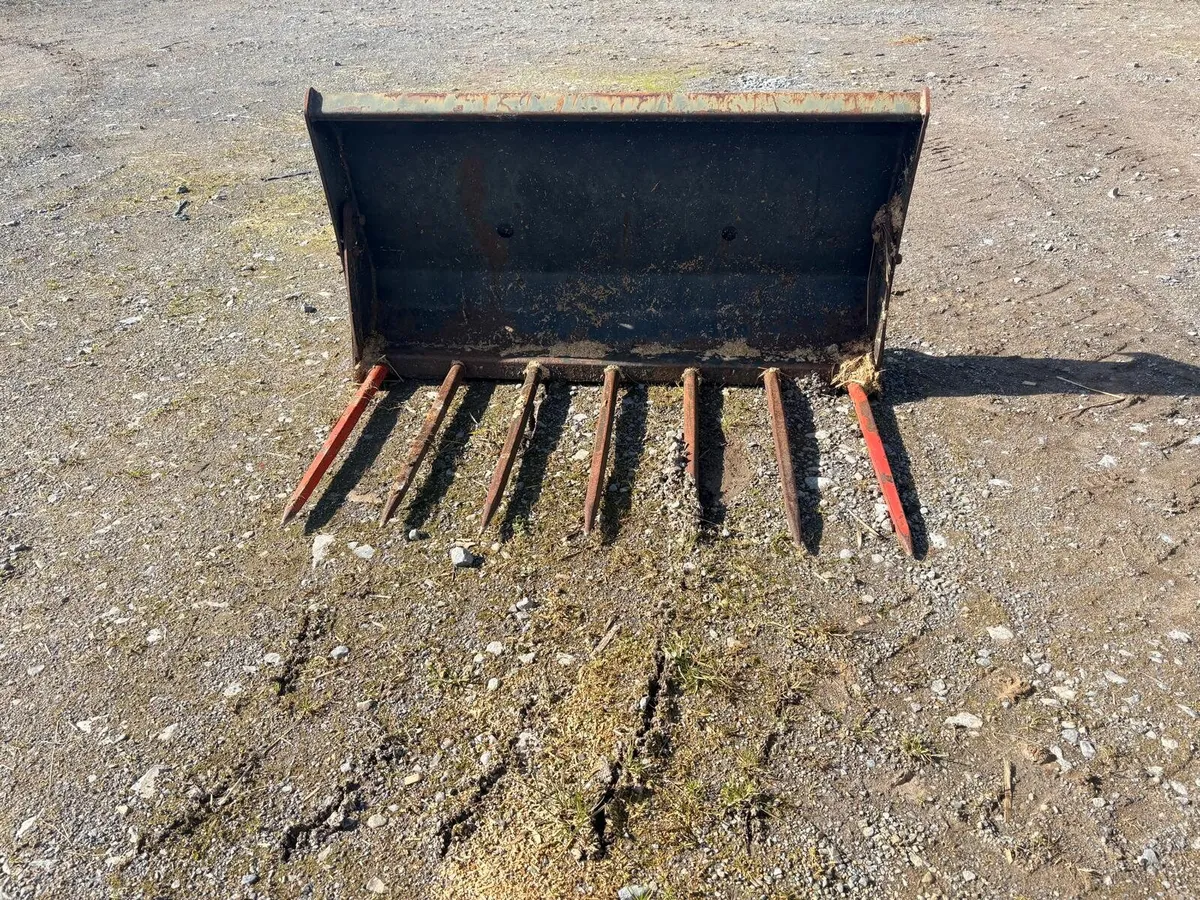 Manure fork - Image 2