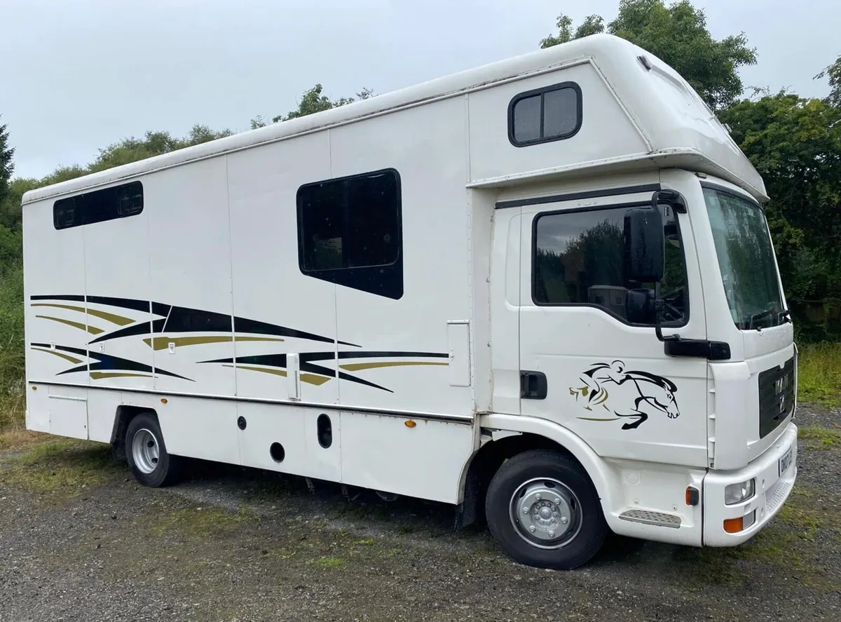 2007 MAN horse truck - Image 1