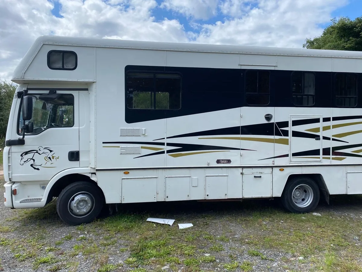 2007 MAN horse truck - Image 2