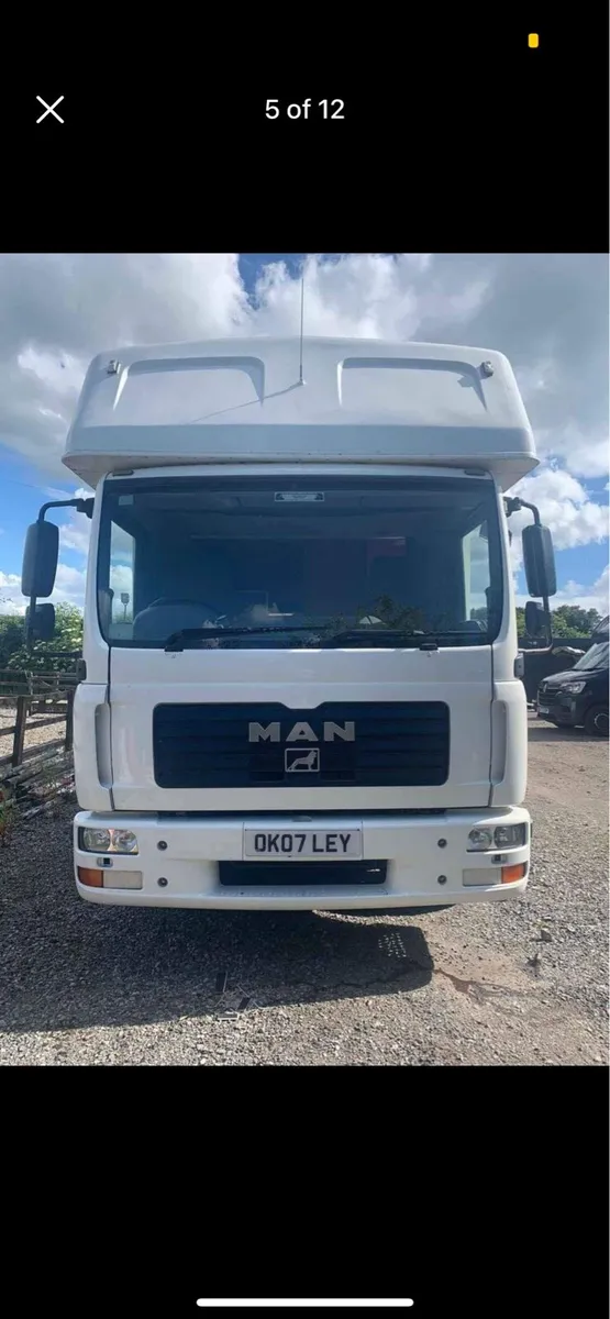 2007 MAN horse truck - Image 3