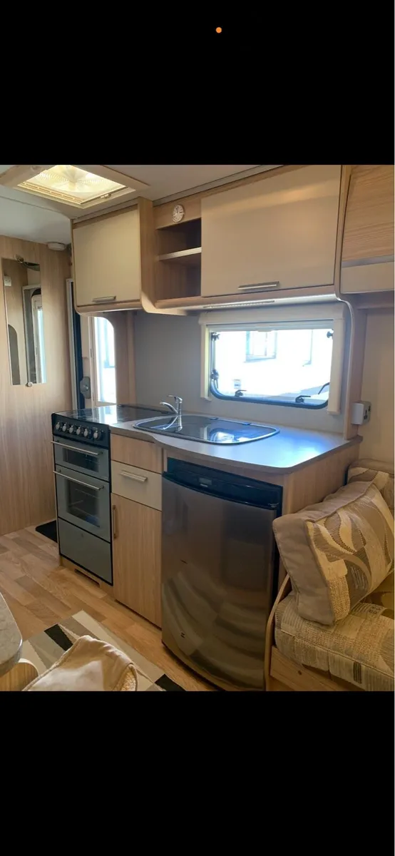 Coachman Amara - Image 4