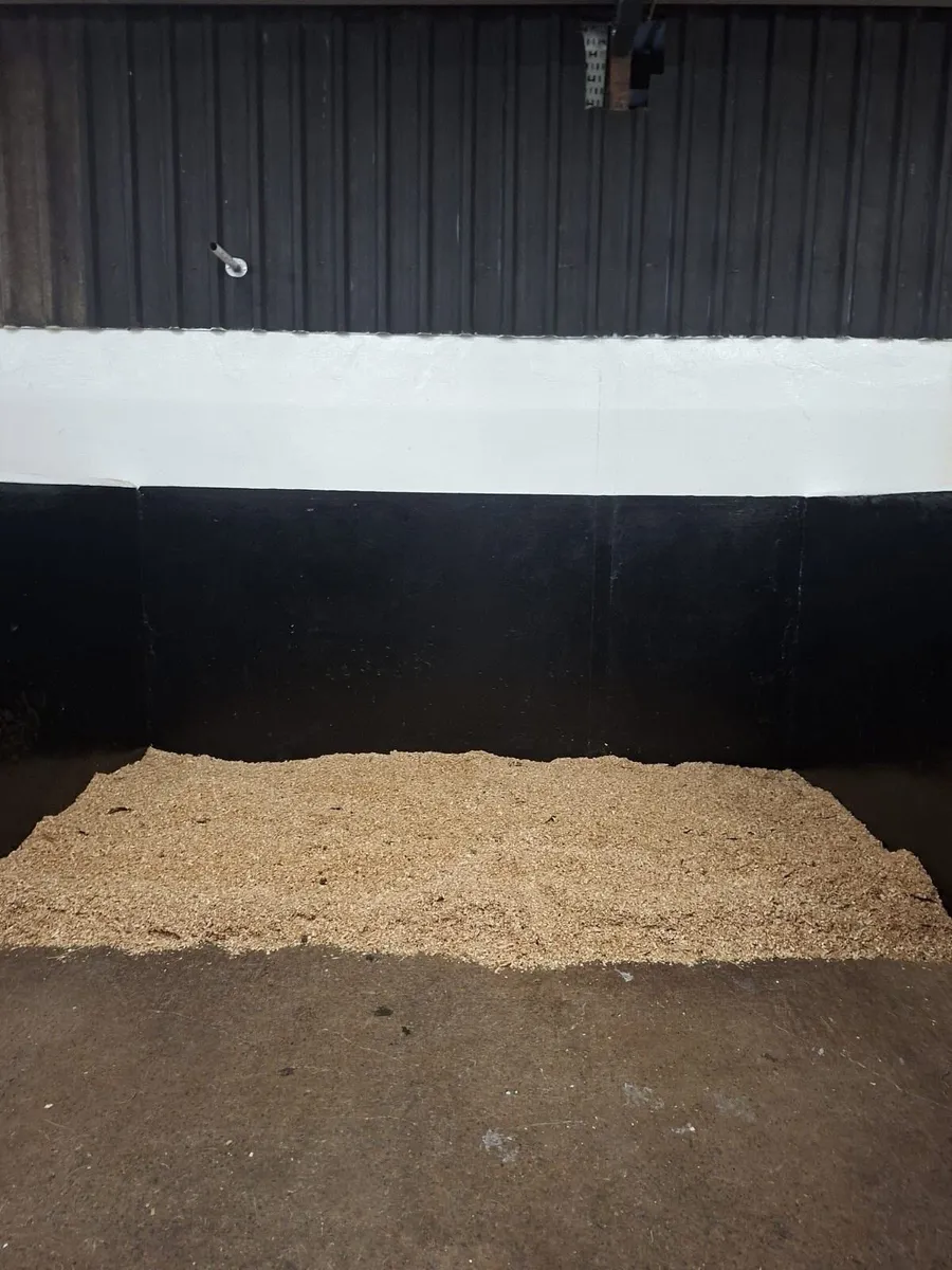 Stable Paint - Image 2