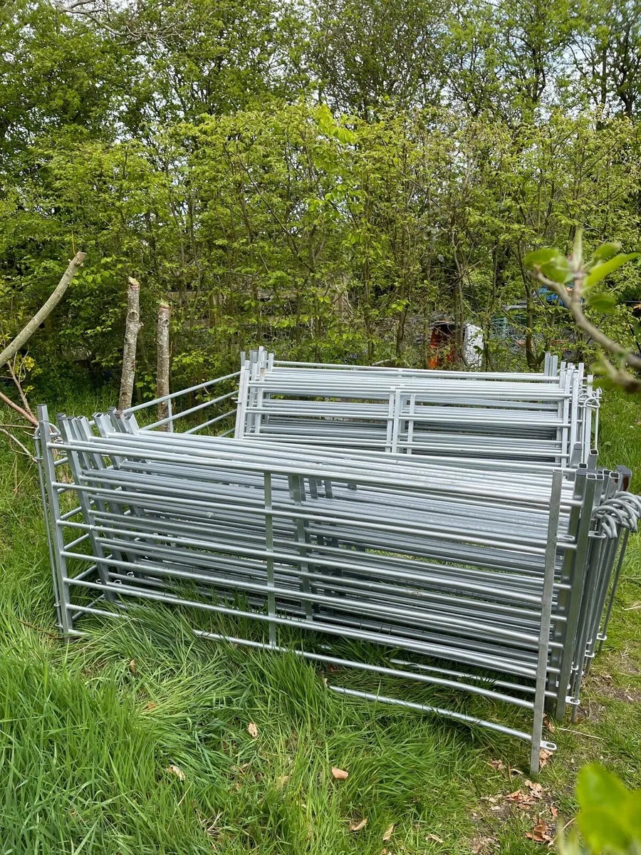 30 x 6 Foot Galvanised Sheep Hurdles - with pins - Image 3