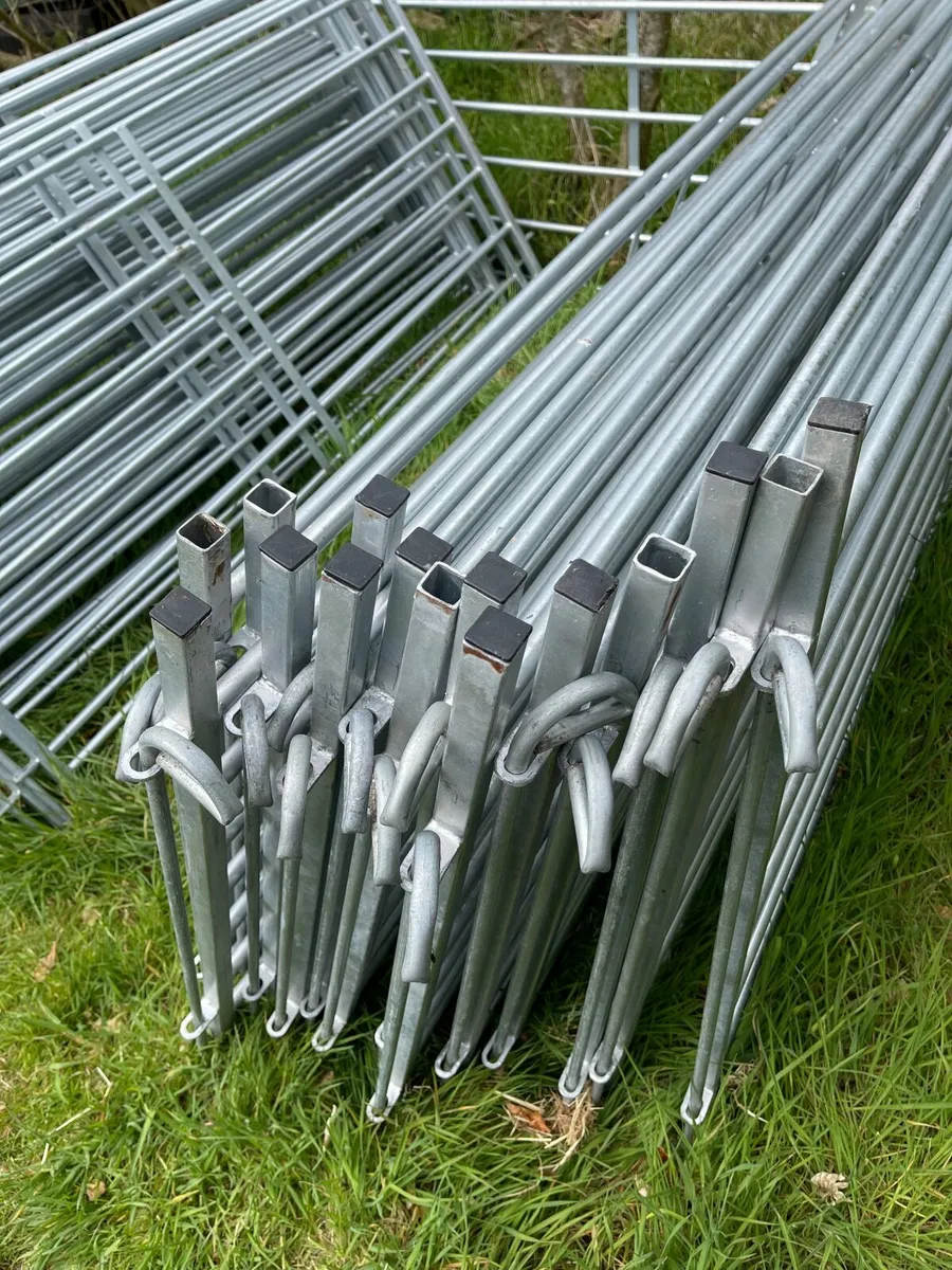 30 x 6 Foot Galvanised Sheep Hurdles - with pins - Image 2