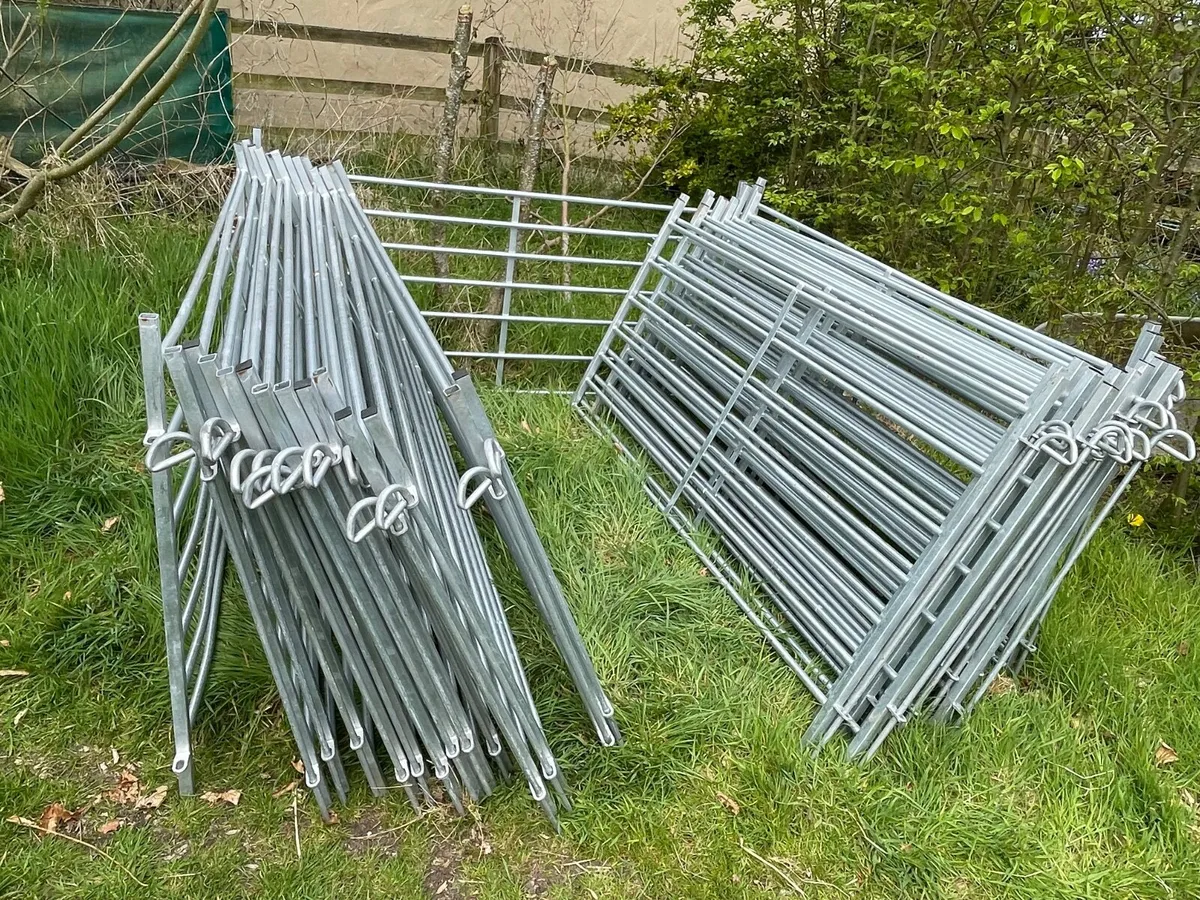 30 x 6 Foot Galvanised Sheep Hurdles - with pins - Image 1