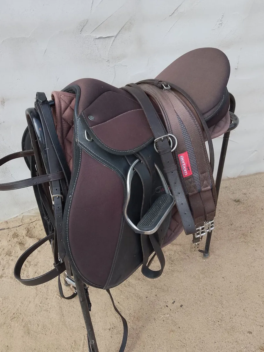 Horse Saddle  and Bridle - Image 1