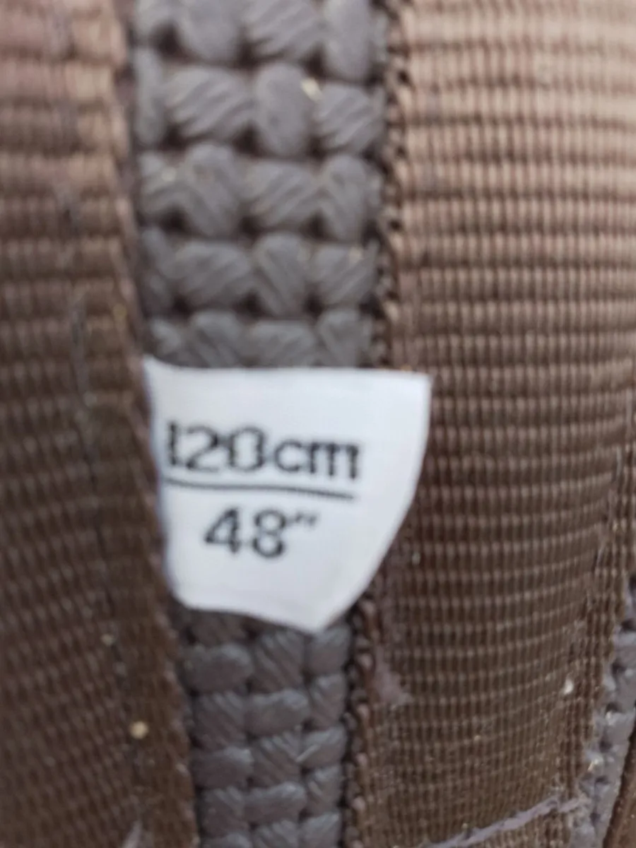 Horse Saddle  and Bridle - Image 3