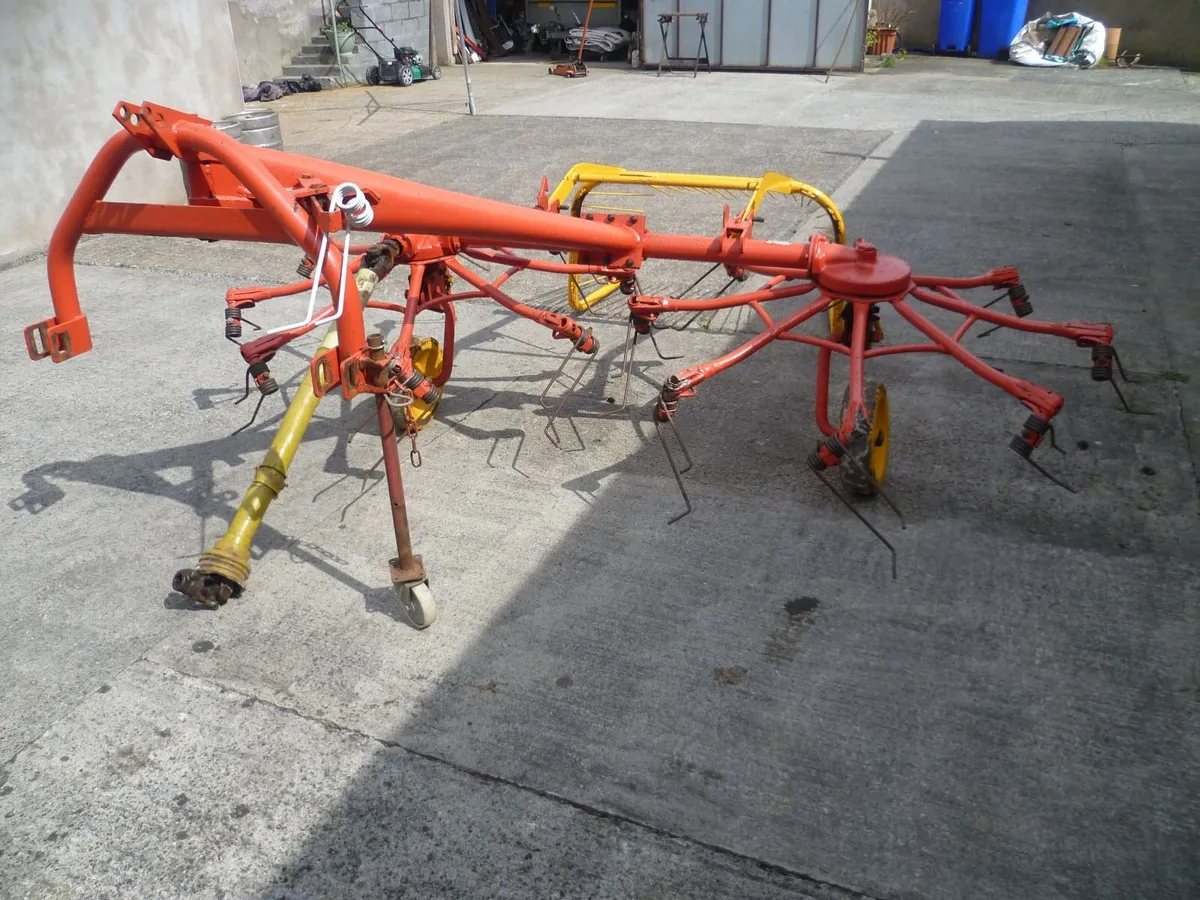 Shed Clear Out - Image 2