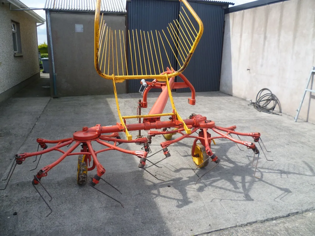 Shed Clear Out - Image 3