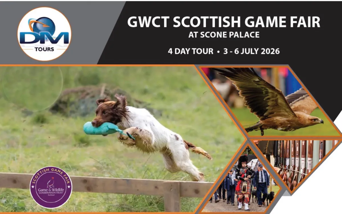 Coach Tour to Scottish Game Fair - Image 1