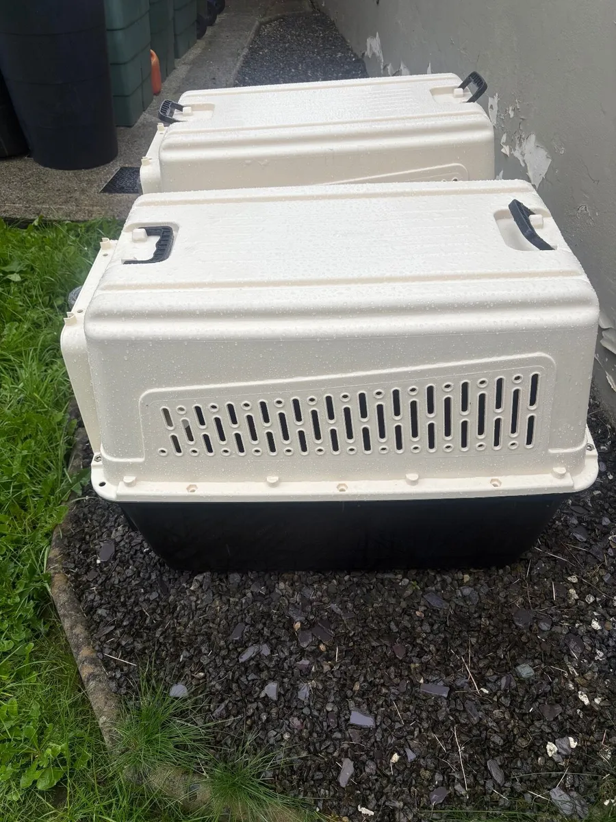 Professional Animal Boxes x 2 - Image 2