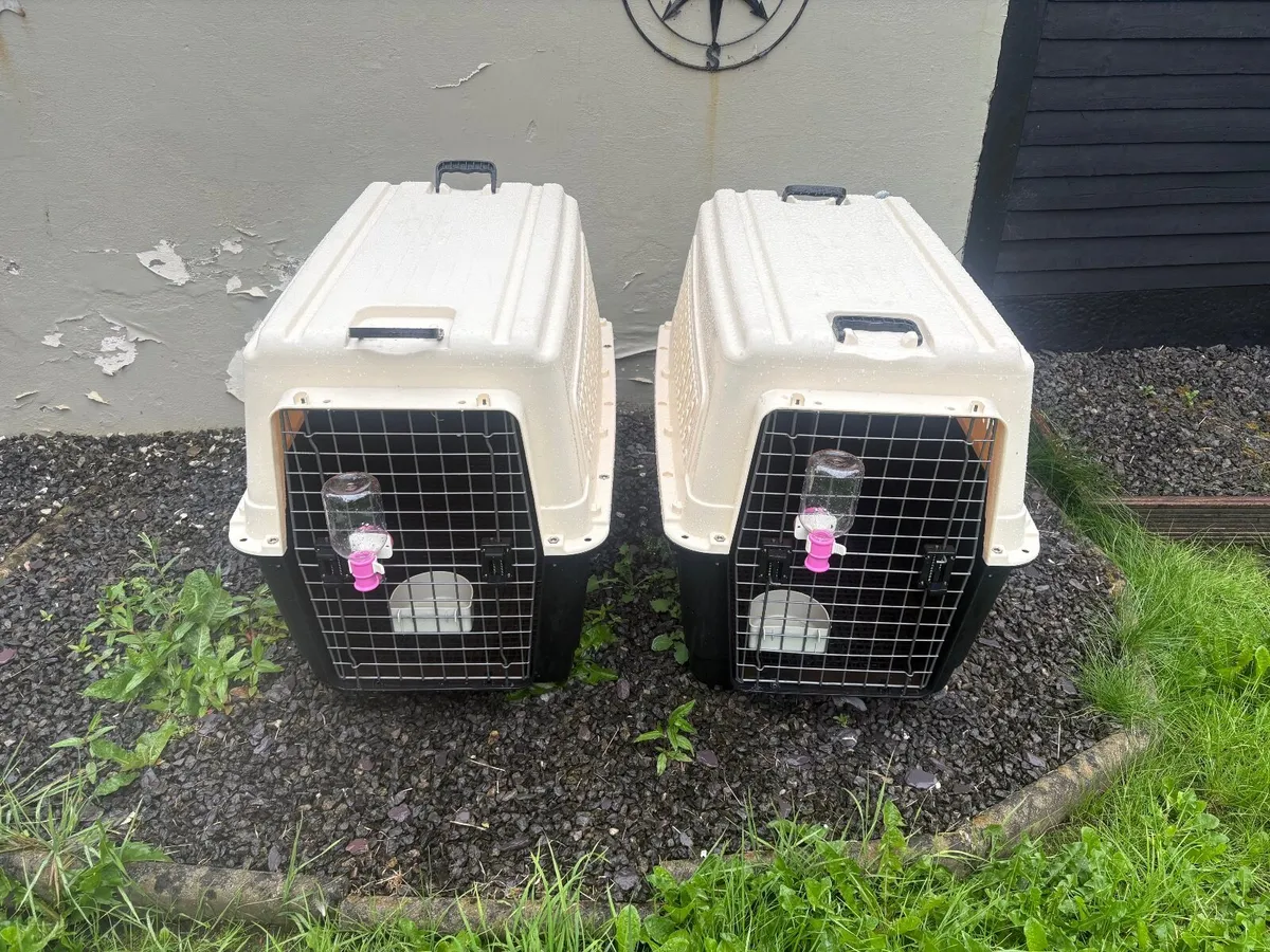 Professional Animal Boxes x 2 - Image 1